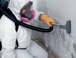 Mold Documentation for Insurance Claims in Highland, MD